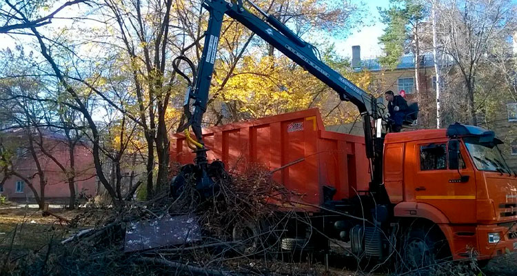 Вывоз деревьев